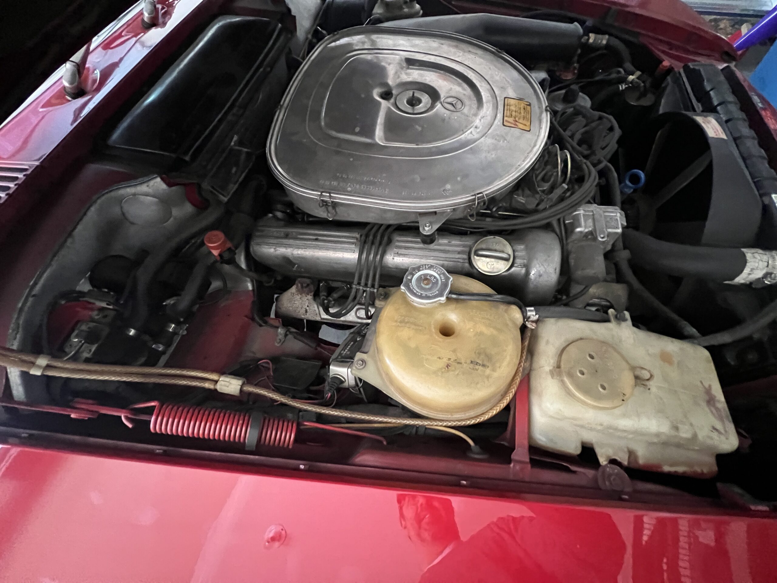 Photo 2024-03-18, 12 17 34 PM